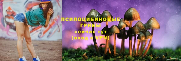 бутират Абаза