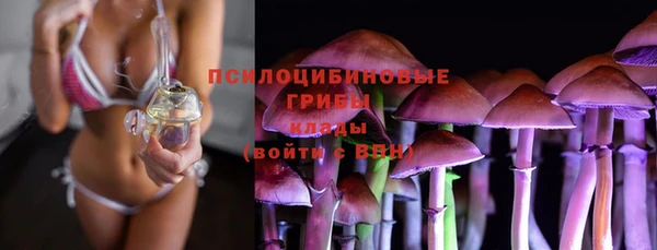 скорость Алексин